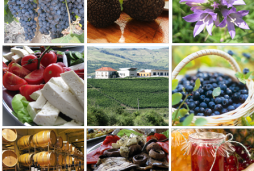 <span style="font-weight: bold;">&nbsp; &nbsp; &nbsp; &nbsp; &nbsp; &nbsp; &nbsp; &nbsp; &nbsp; &nbsp; Events &nbsp; &nbsp; &nbsp; &nbsp; &nbsp; &nbsp; &nbsp; &nbsp; &nbsp; &nbsp; &nbsp; &nbsp; &nbsp; &nbsp; &nbsp; &nbsp; &nbsp; &nbsp; &nbsp; &nbsp; &nbsp;</span>